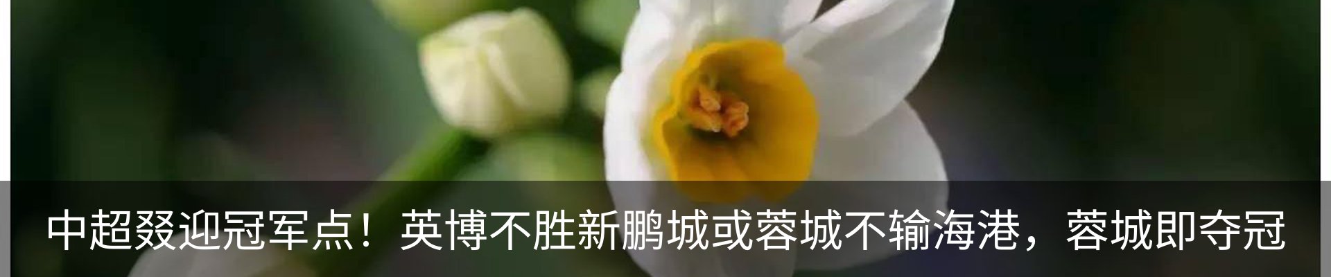 内页banner