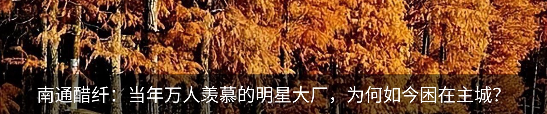 内页banner
