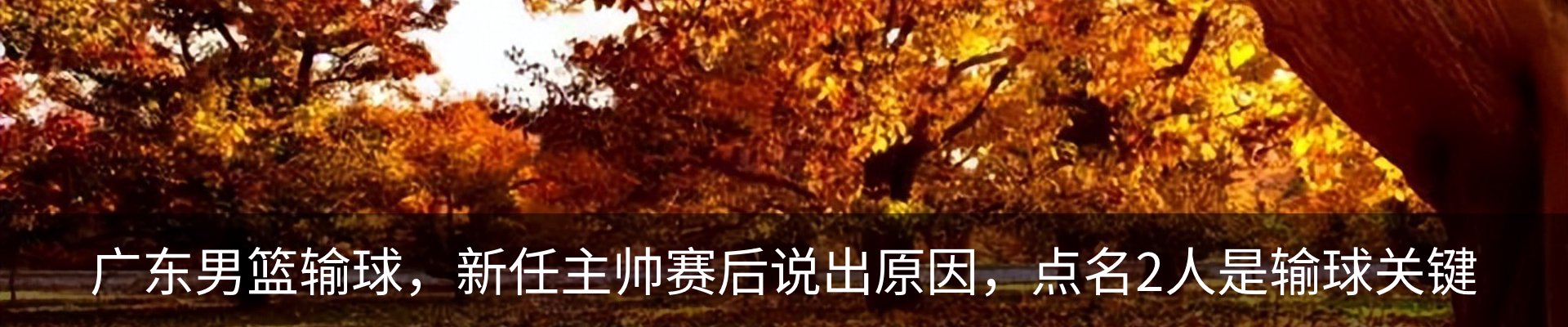 内页banner
