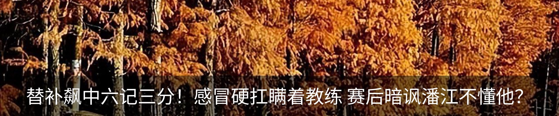 内页banner