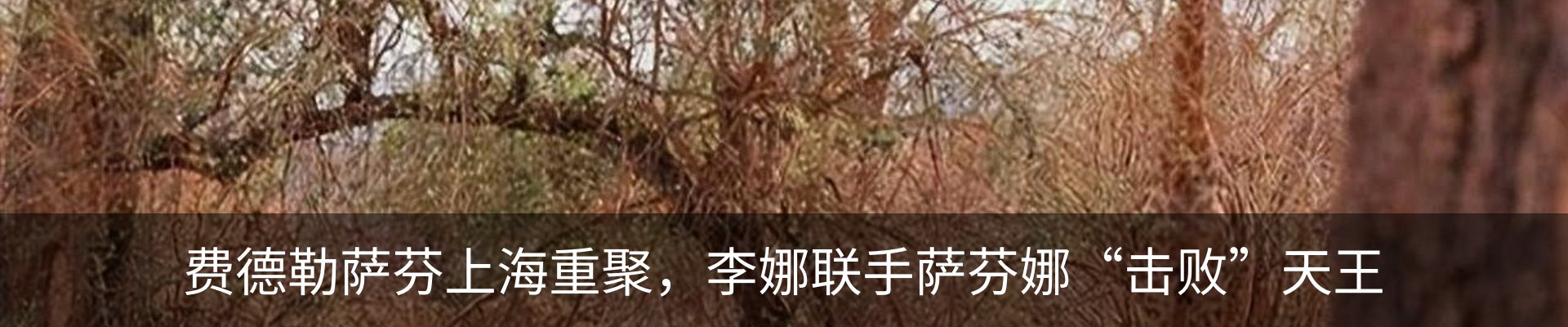 内页banner