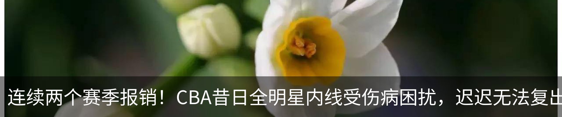 内页banner