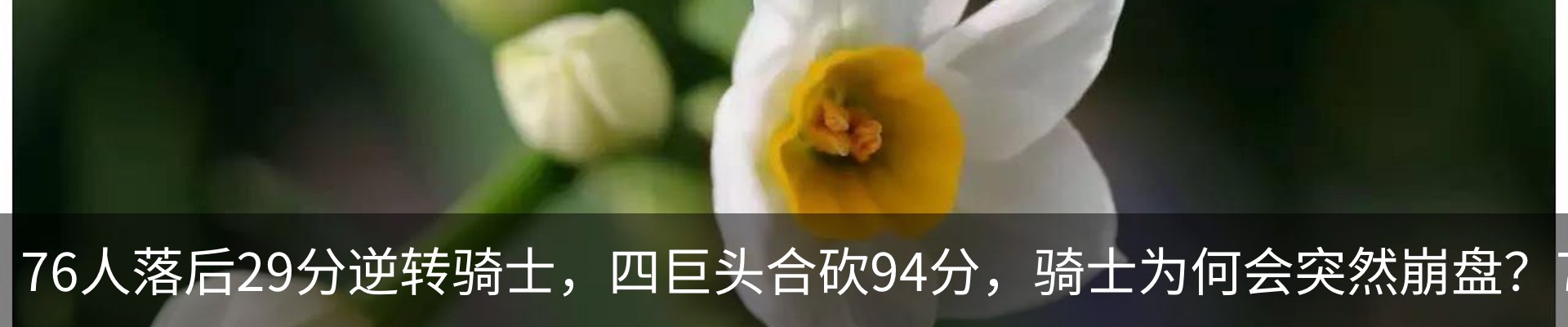 内页banner